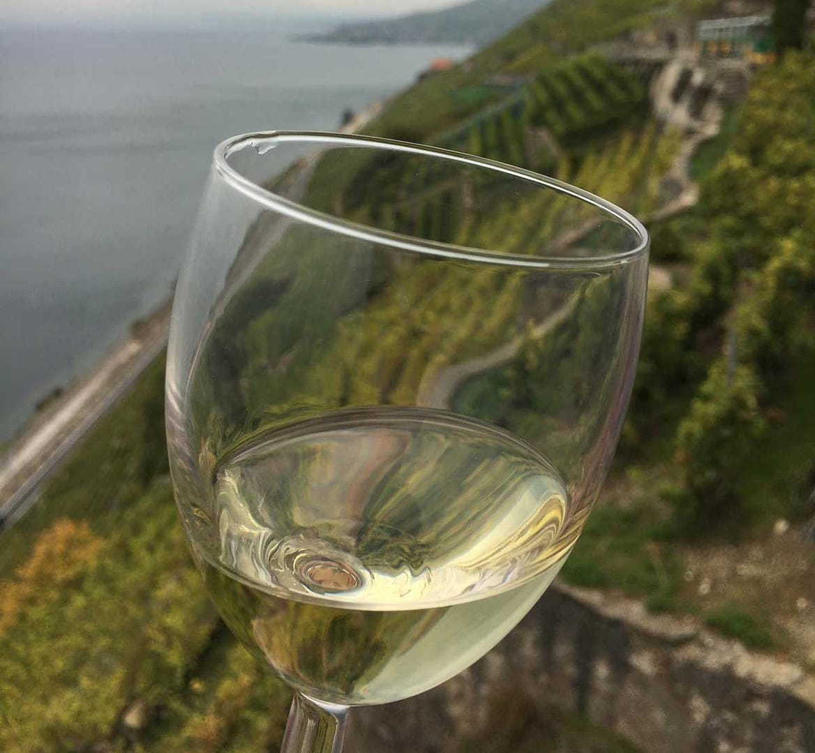 Verre de vin blanc avec une vue sur le lac Léman en fond d'écran