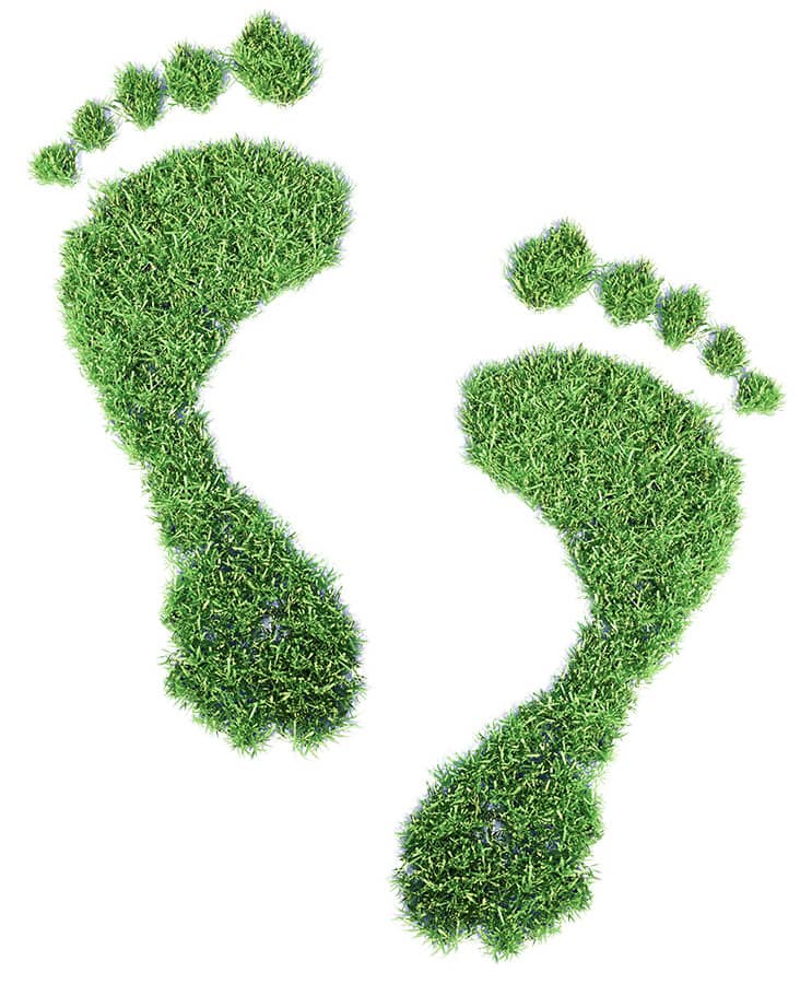 Empreinte de gazon en forme de pied carbone verte